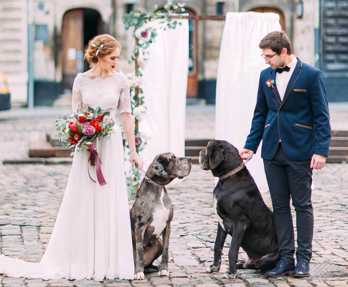 Hund zur Hochzeit Die besten Tipps &amp; Ideen, euer Tier mit einzubeziehen